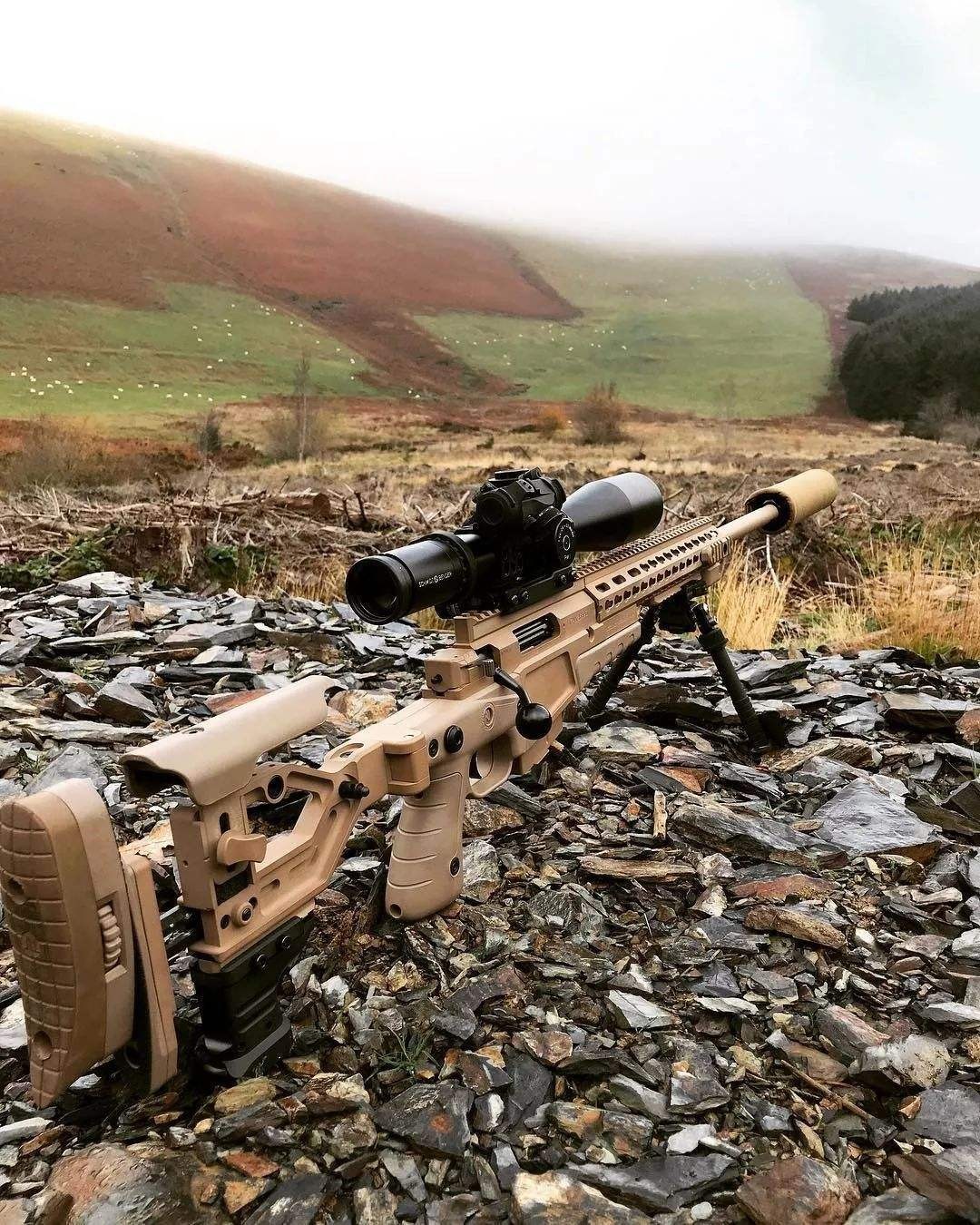 台湾再次出丑，蔡英文安保团队购买*击狙**步枪，却遭英国拒绝出口