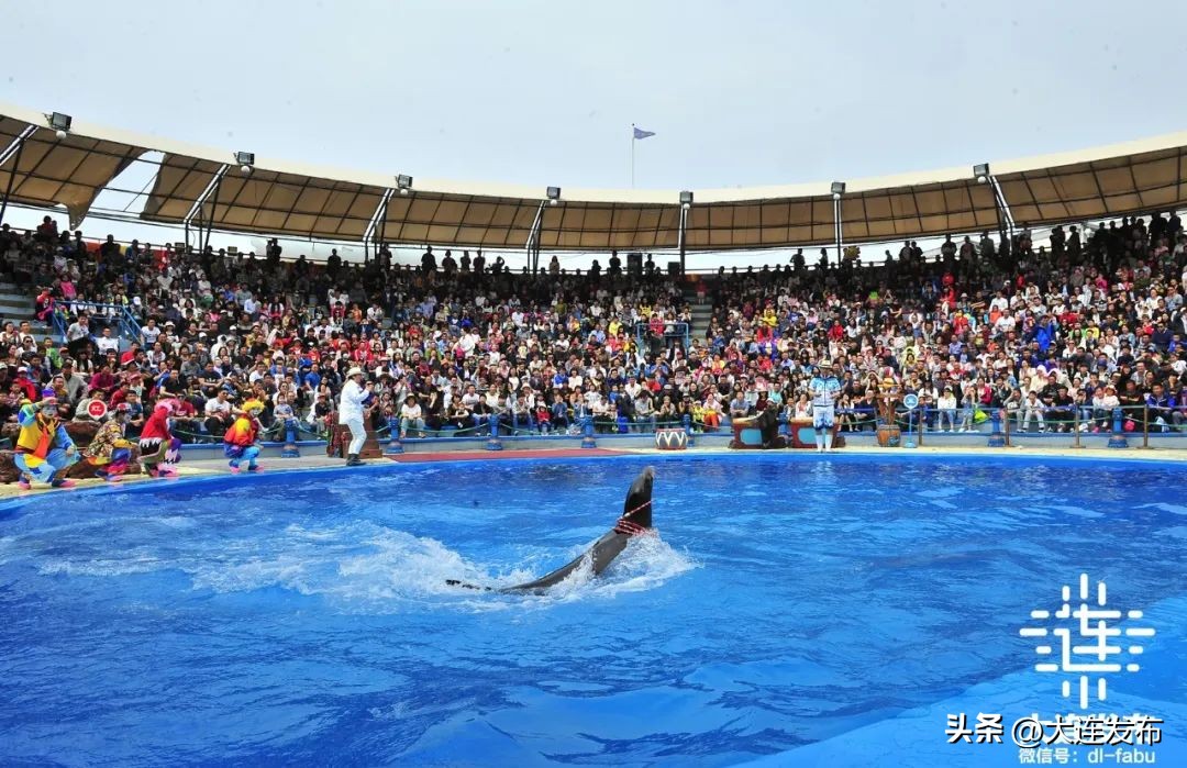 一日游大连旅游景点大全,大连旅行十大景区排名
