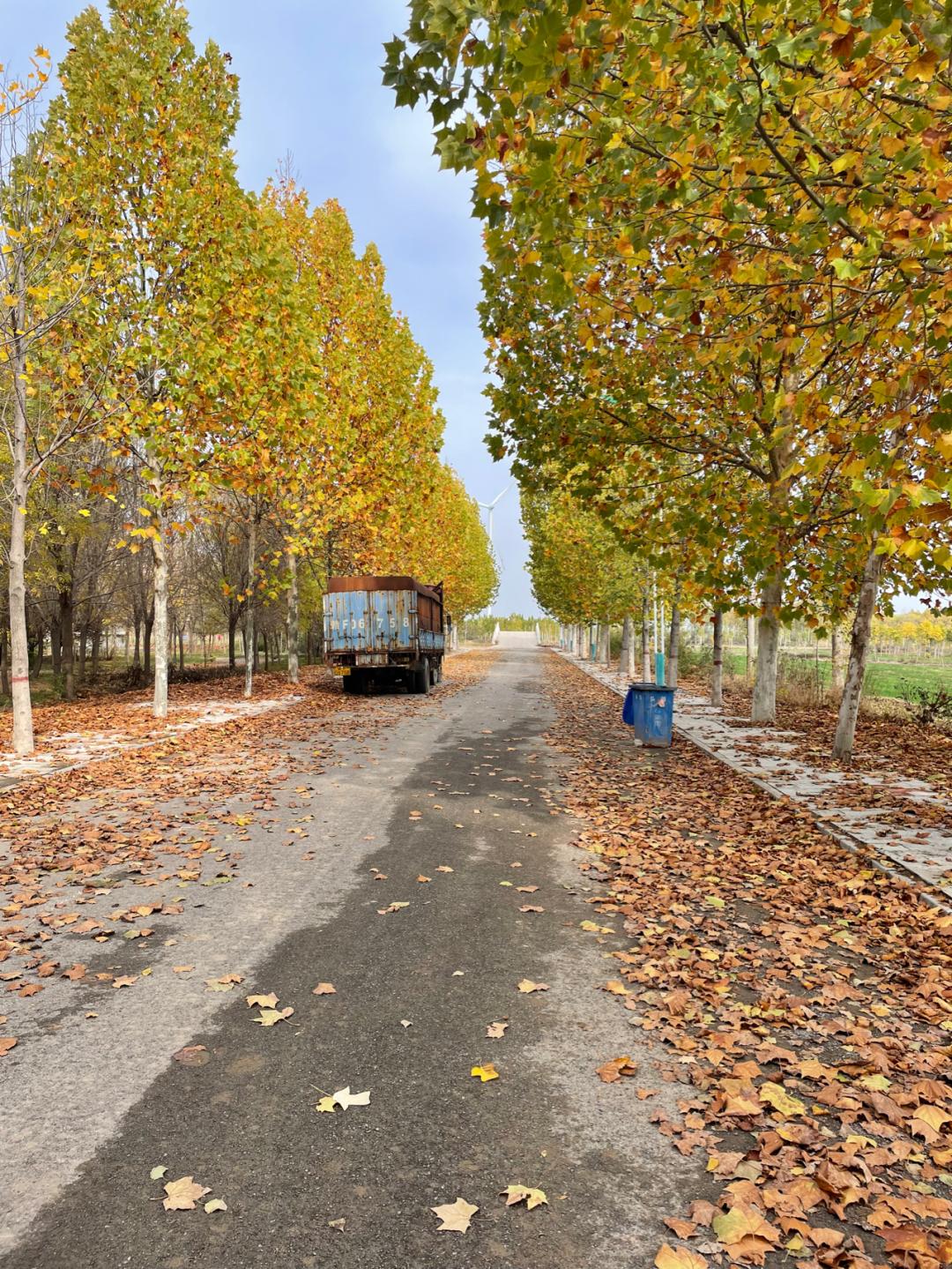 环渤海湾骑行记,环山东骑行日记青岛平度市