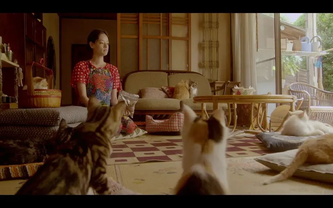 为什么亲戚断亲,亲戚断亲的真实原因