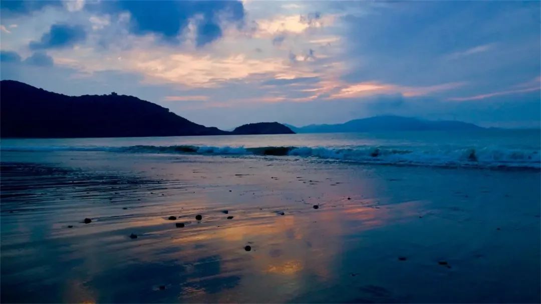 上海值得去的海岛,这7个上海周边的小众无人海岛