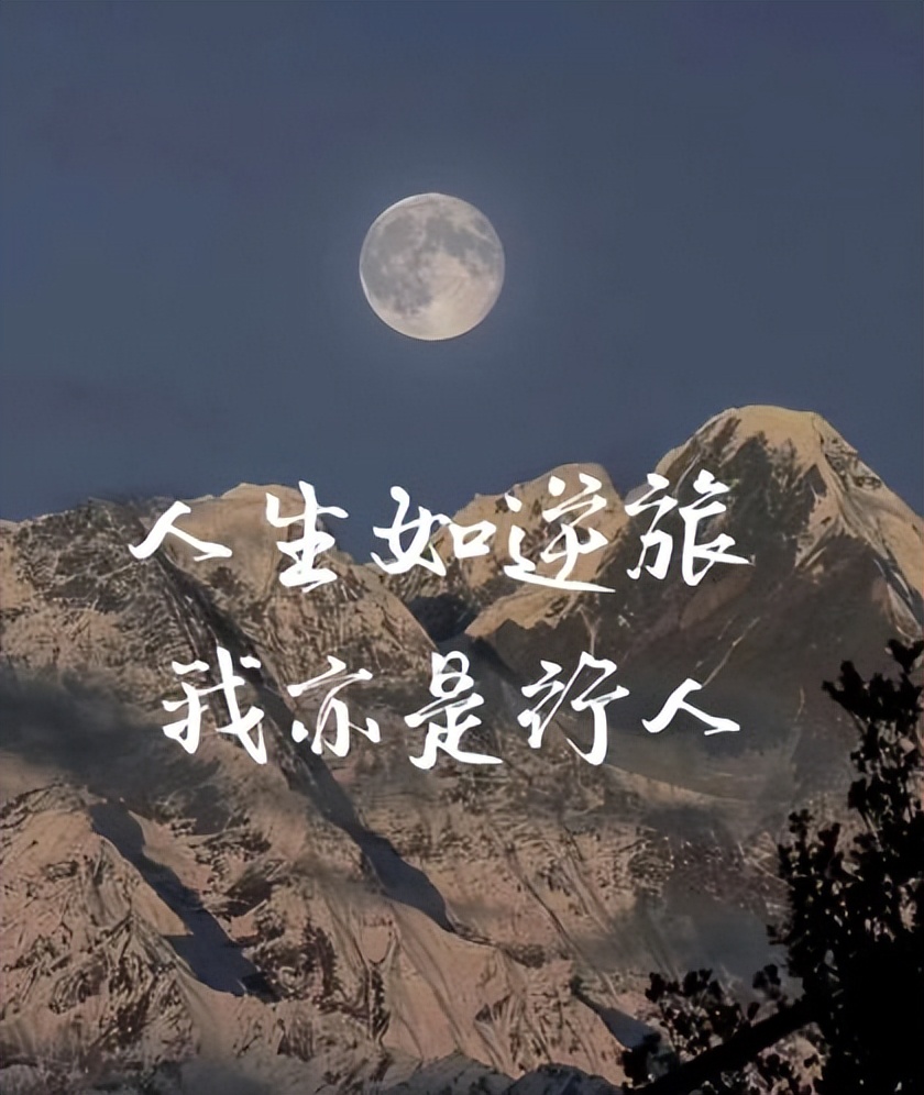 推书君旧版,推书君第181期