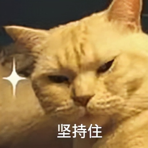 身体虚胖肉松怎样调理,肉松虚胖怎么锻炼