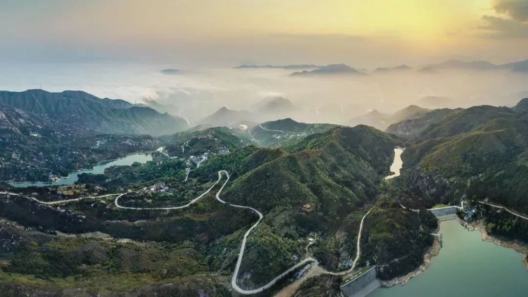 带你们体验摘杨梅的乐趣,酸酸甜甜的杨梅有谁陪我一起采摘