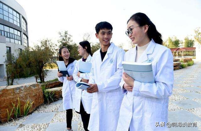 2019-2020大学最好就业的专业排名,大学所有专业就业前景排名2022