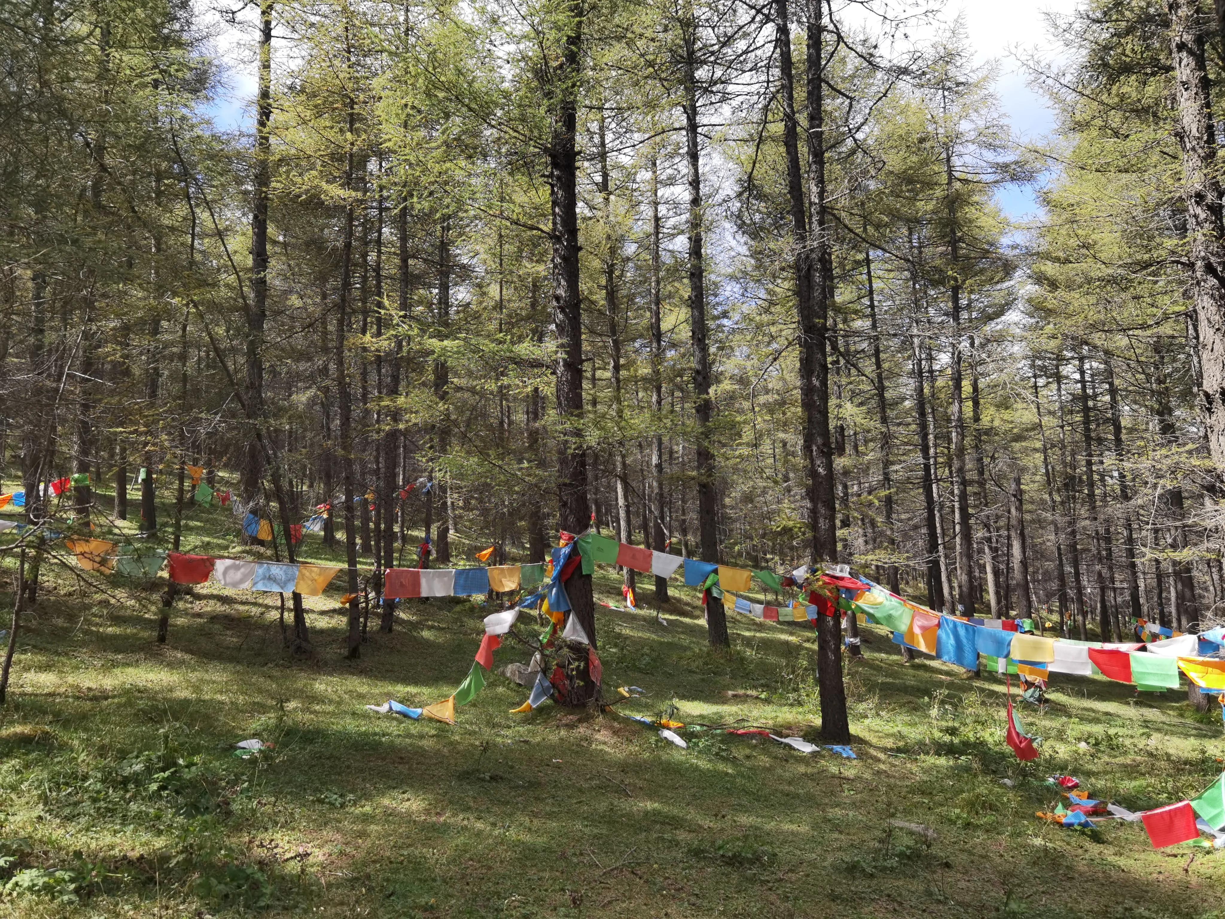 冬季五台山徒步大朝台完整攻略,五台山大朝台徒步一天可以走完吗