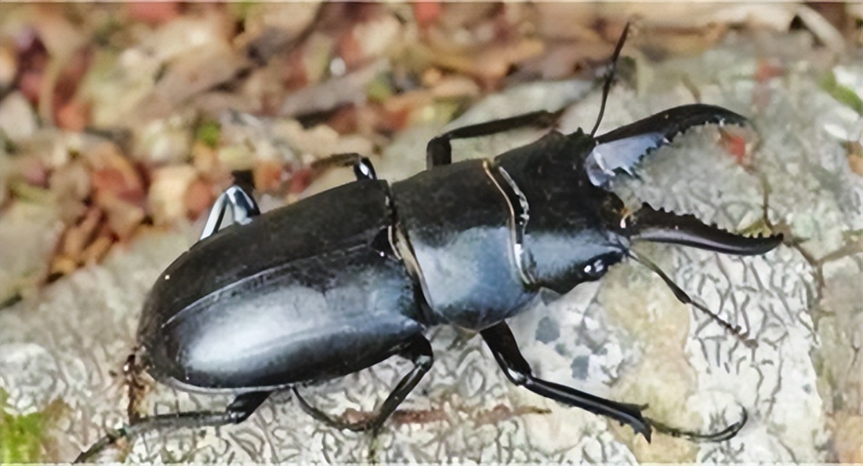 看到这些东西千万不要带回家,这些东西千万不要带回家