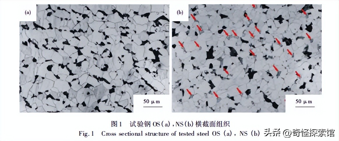 Cu/Sb/Sn/Mo/W对新国标09CrCuSb钢组织及力学性能的影响