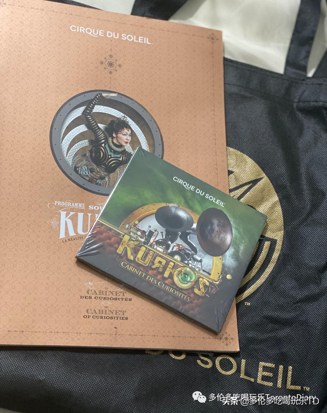 多伦多五星级酒店哪个好,多伦多极具特色的酒店推荐