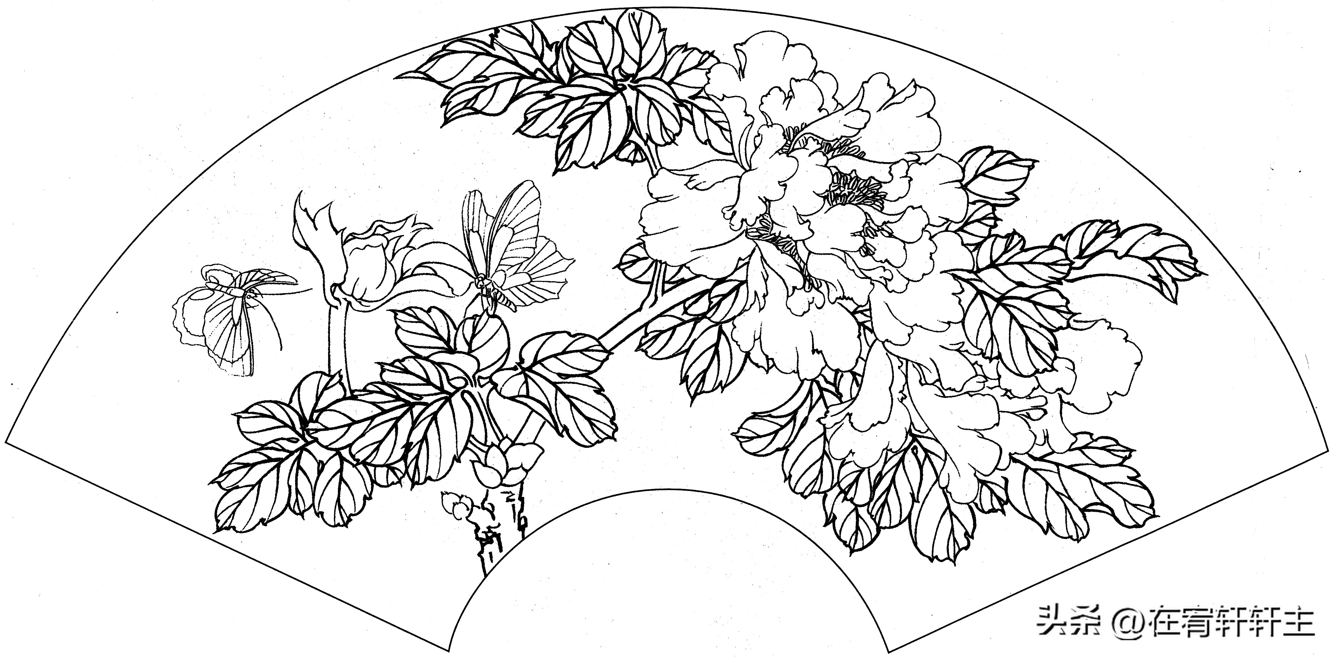 工笔白描祥云图案扇面,工笔扇面葡萄白描图片