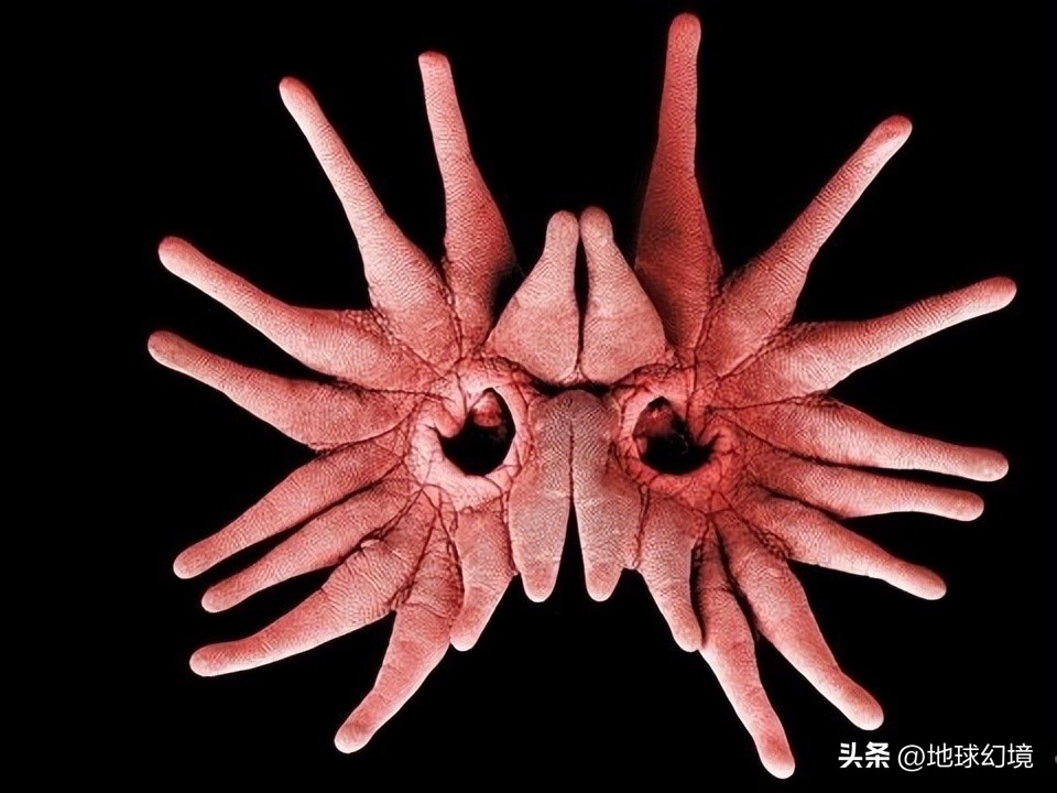 十大深海神秘巨型生物图片,天空拍到的像水母生物图