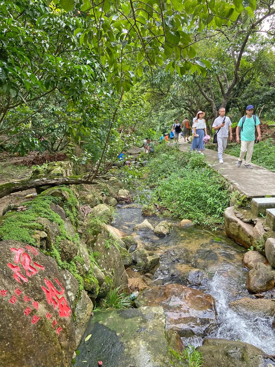 广州摘荔枝一日游最佳路线,从化自驾游荔枝采摘园