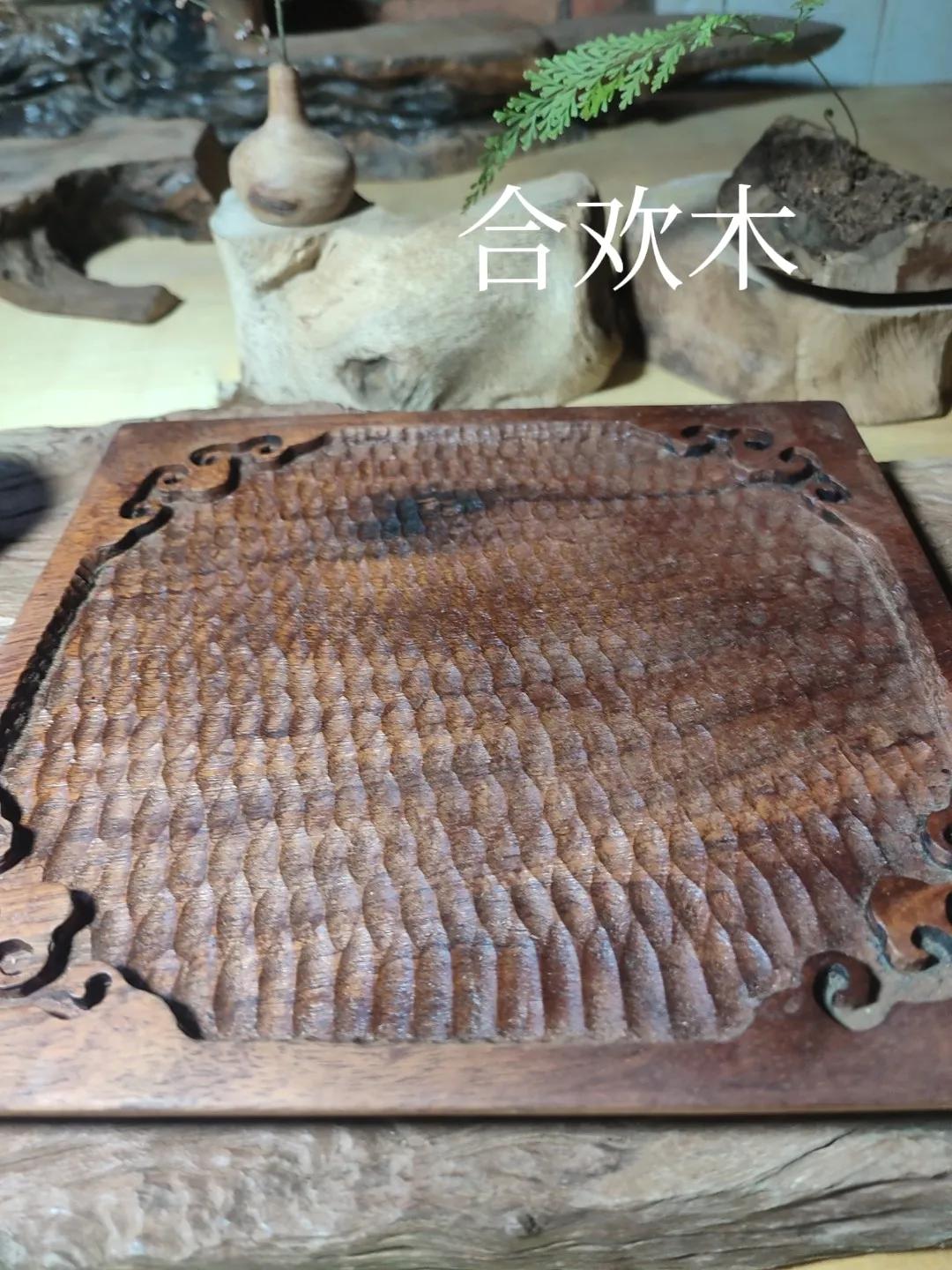 什么木头不生虫,什么木头不容易被虫咬