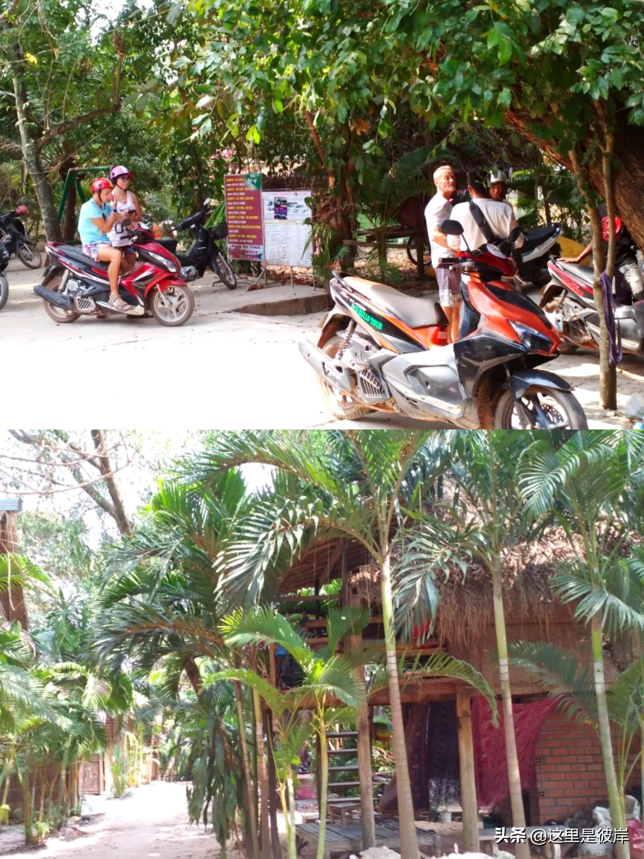 住过的最印象深刻的青旅,贡布旅游攻略大全