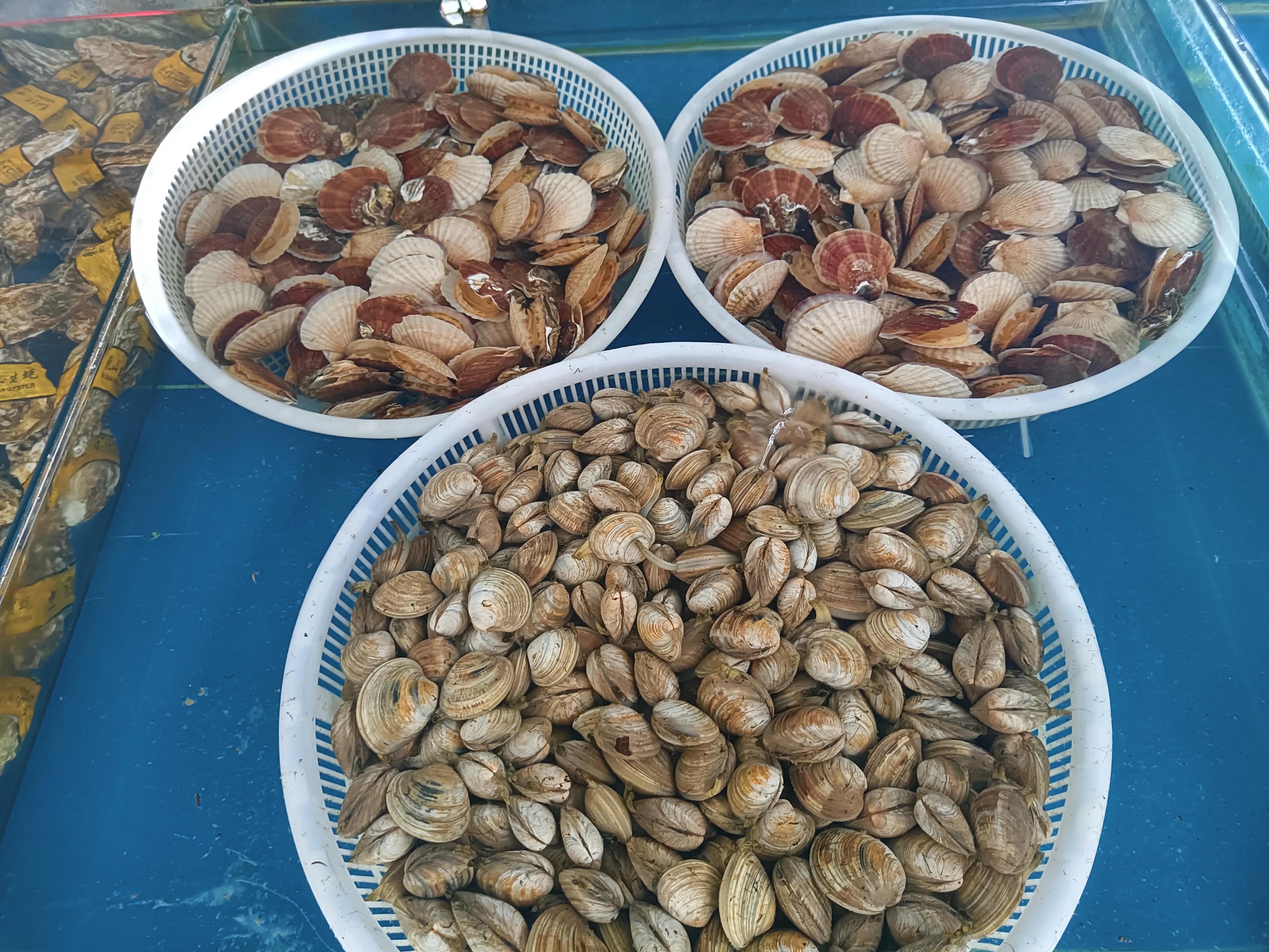 知行合一，简单的美好，仙浴湾、西中岛、金普新区行记