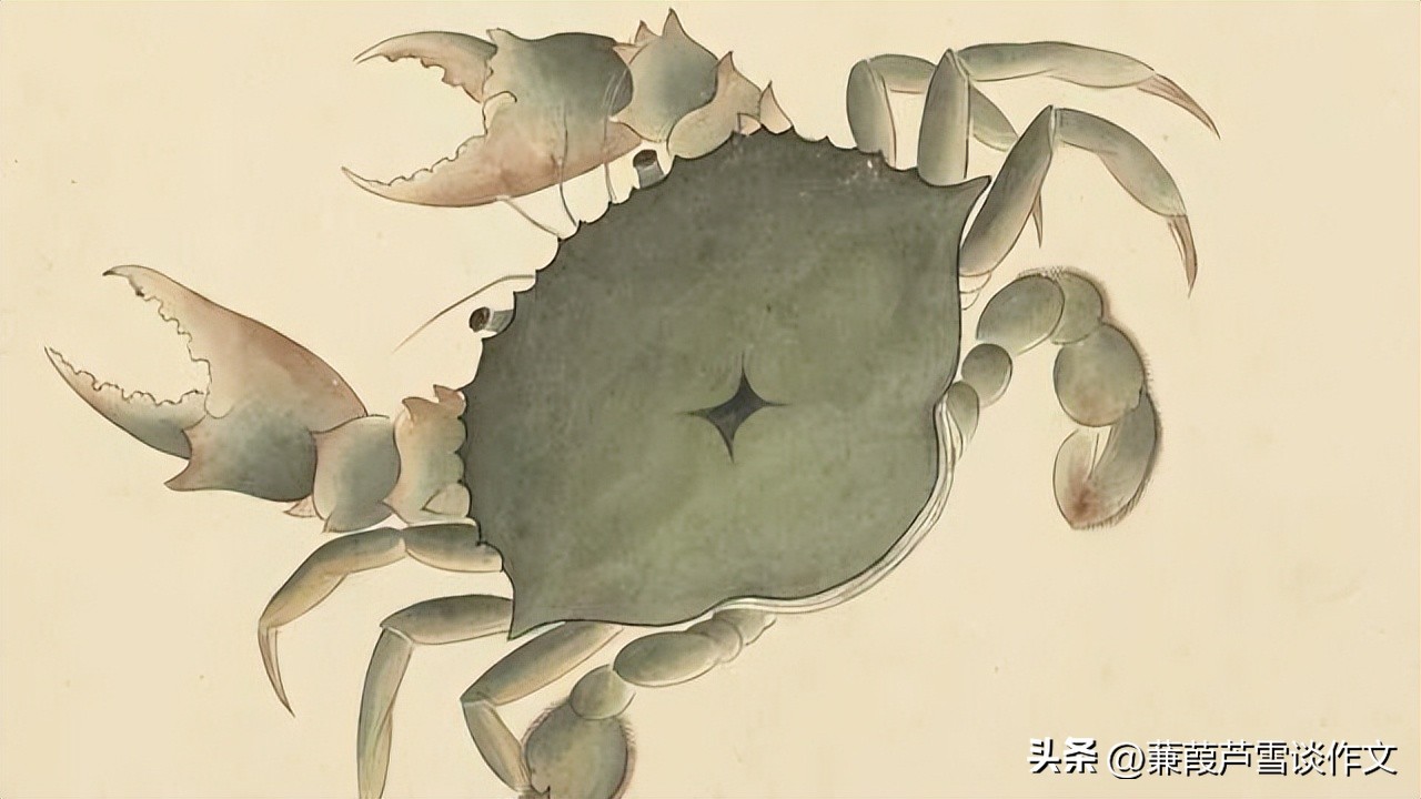 说明文，文艺范，好玩又好看——阿宝老师的“作文经”（二三八）