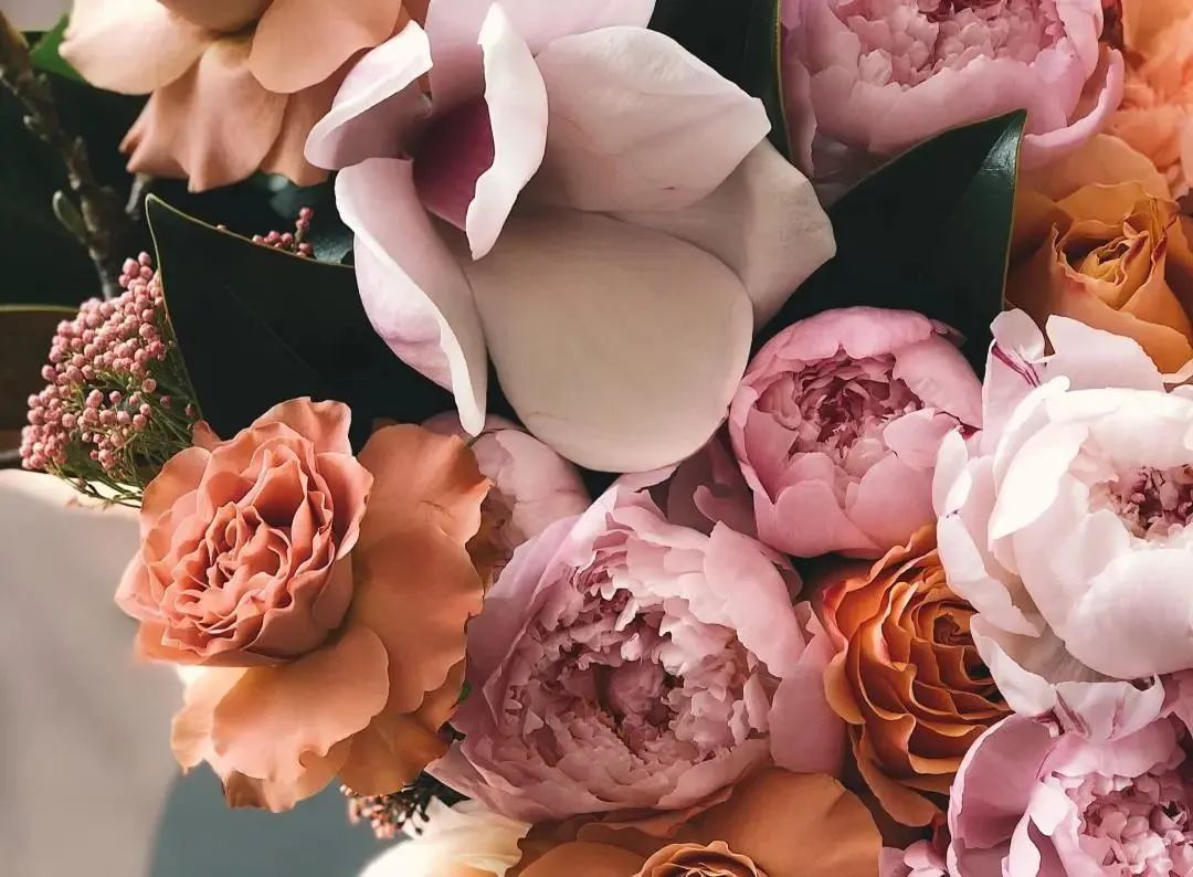 干货分享丨鲜花运输难?冷链运输护航妇女节鲜花业市场!