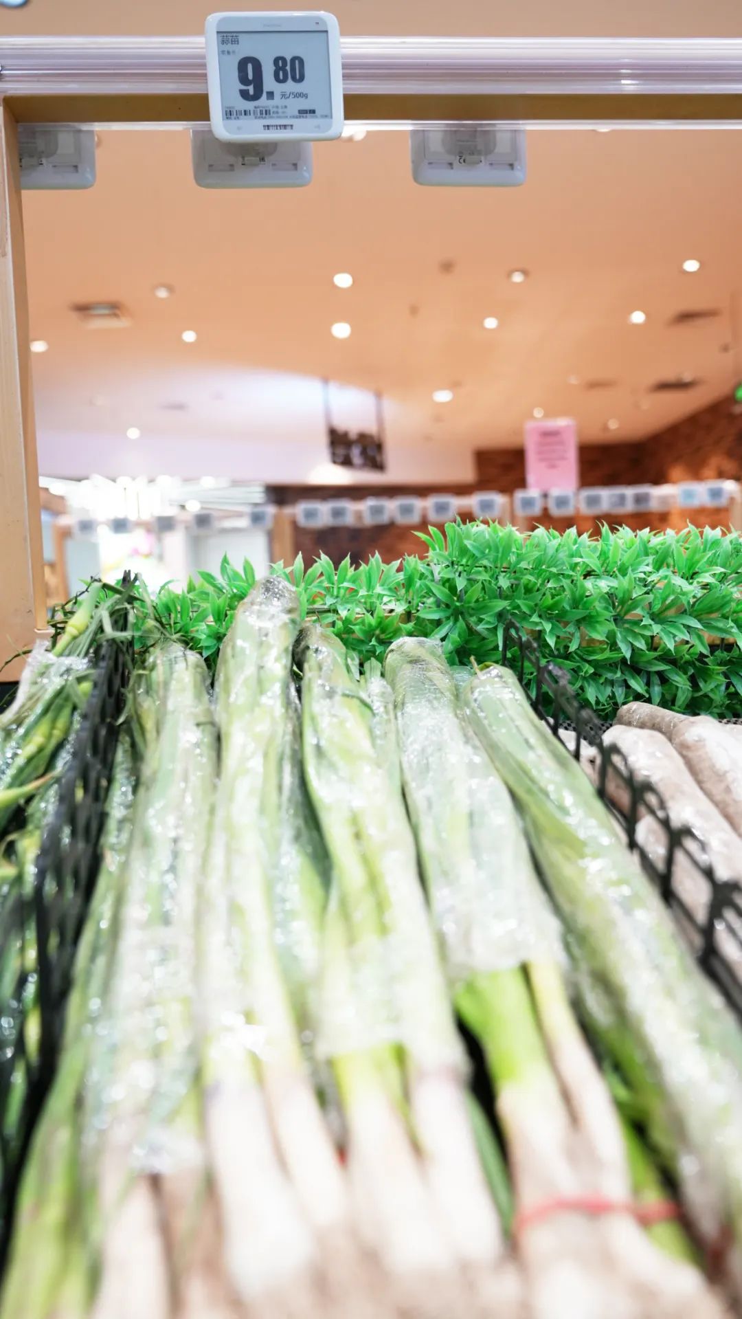 蒜苗卖了三万多,今天蒜苗多少钱一斤