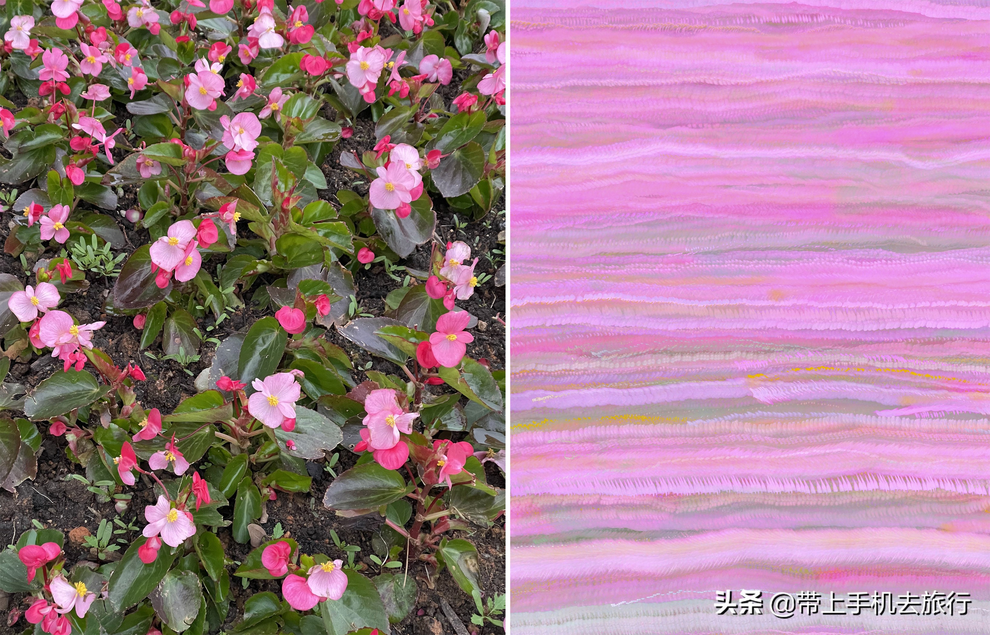 手机摄影怎么样用专业模式,手机摄影是怎么搞的