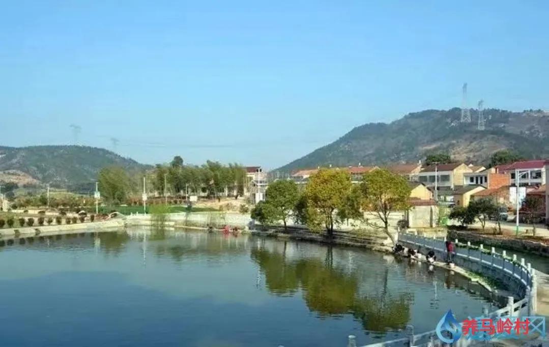 鐏垫鼎榛勬,鐏垫鼎榛勬鍗＄墝