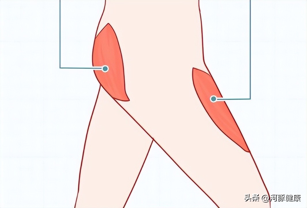 为什么不胖但是大腿特别粗,人不胖大腿粗是什么原因造成的