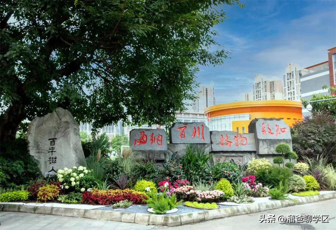 成都小学排名前十的小学,成都十大小学排名