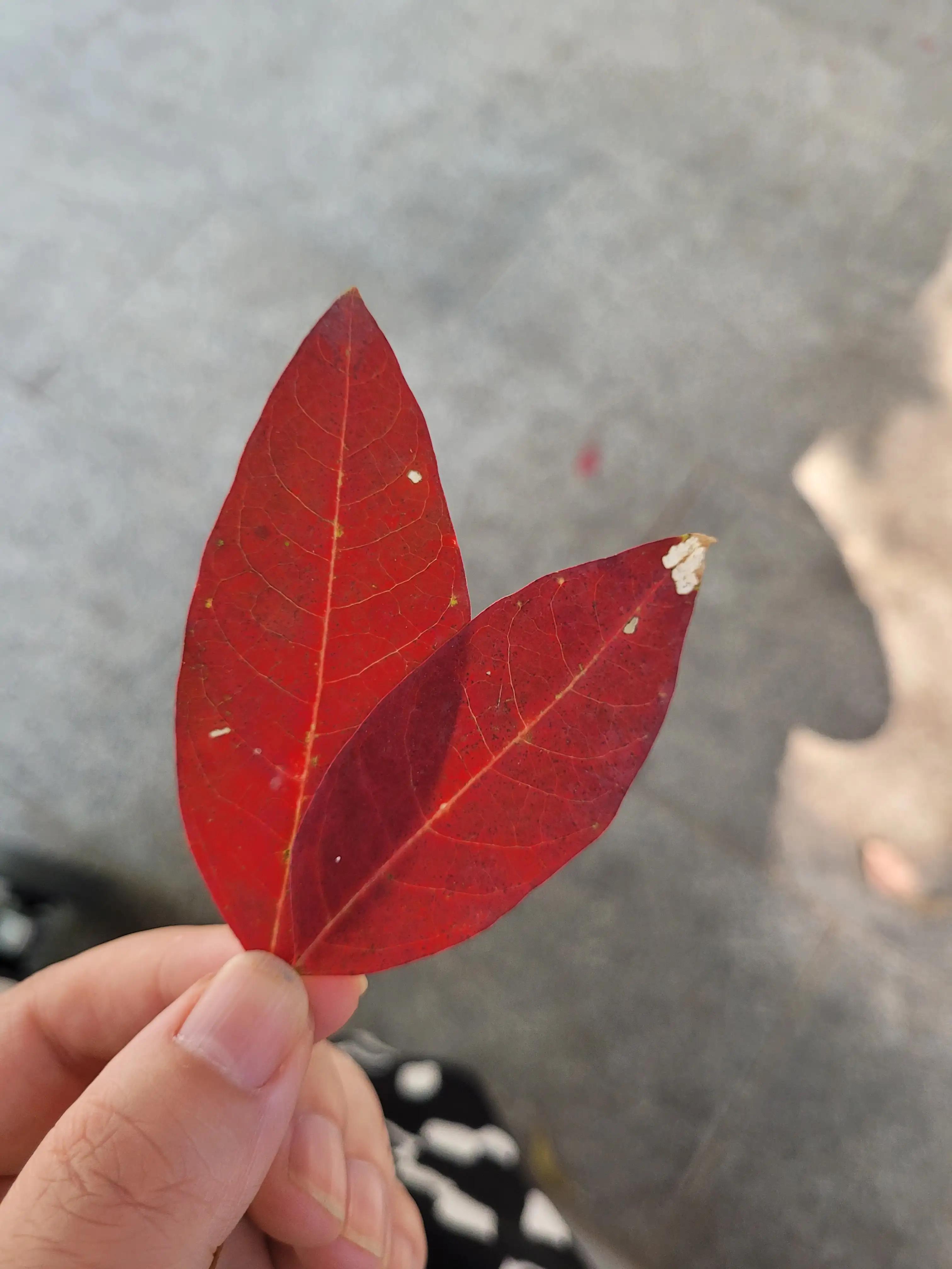 大宝多动症在深圳的就医历程