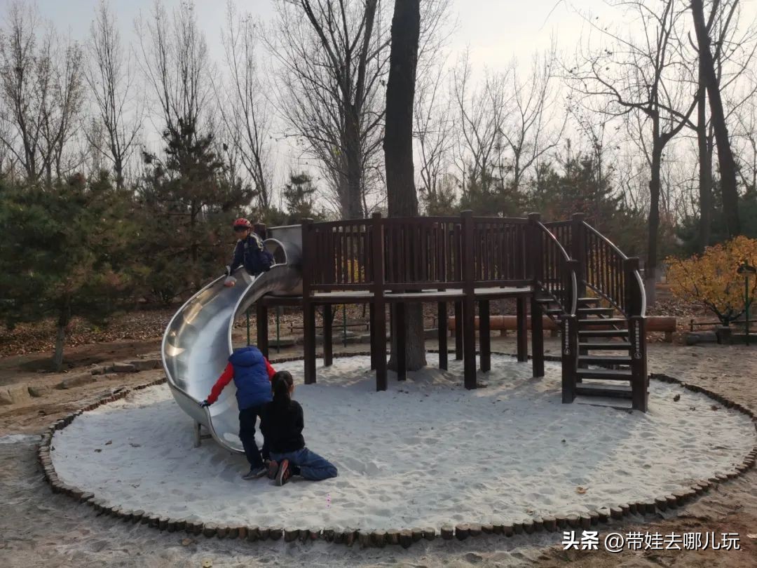 骑行国家森林公园,徒步骑行森林公园