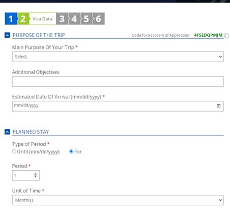 巴西因公签证怎么申请,巴西因公普通护照签证
