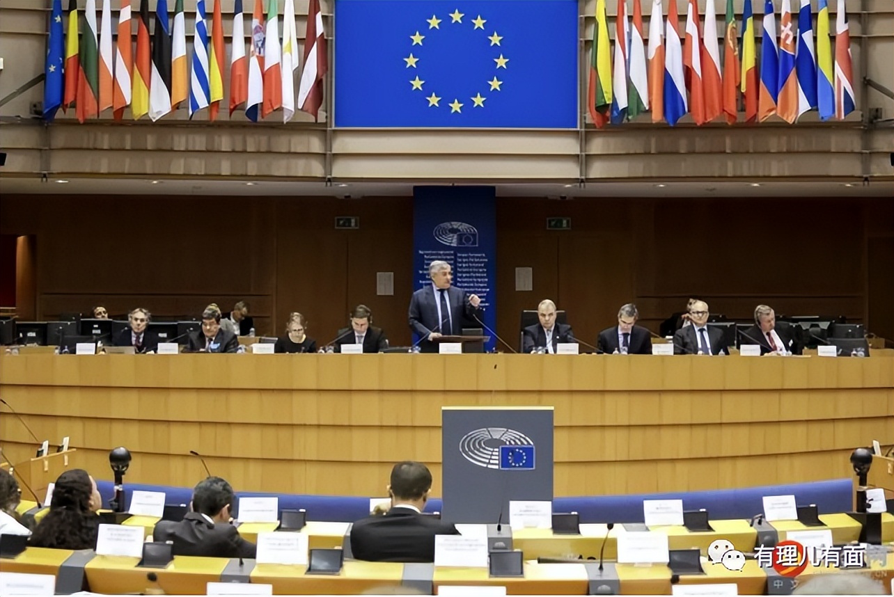 匈牙利国鸟大鸨鸟,匈牙利作为欧盟中的特立独行者