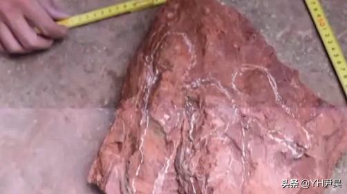 山村十大诡异怪事件,四川大山发现的怪物