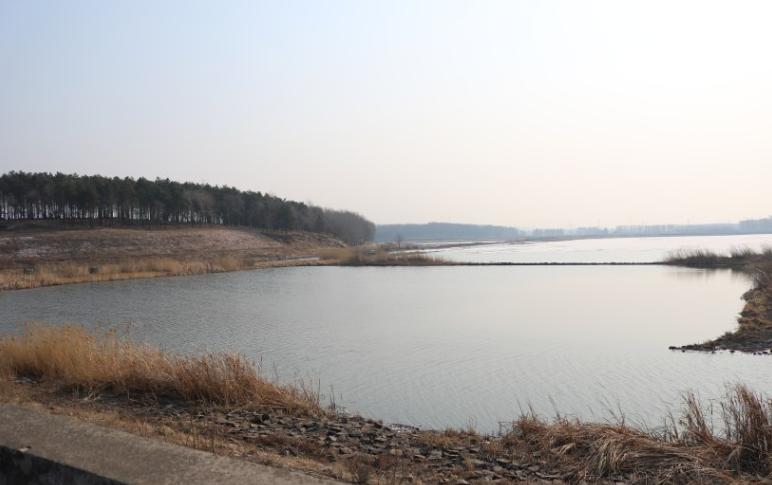 长城炮换固铂at3,固铂at3lt配什么轮毂