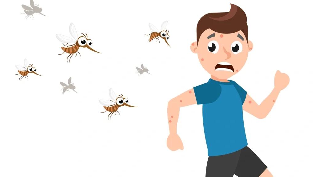 有些病毒让蚊子觉得人闻起来很香