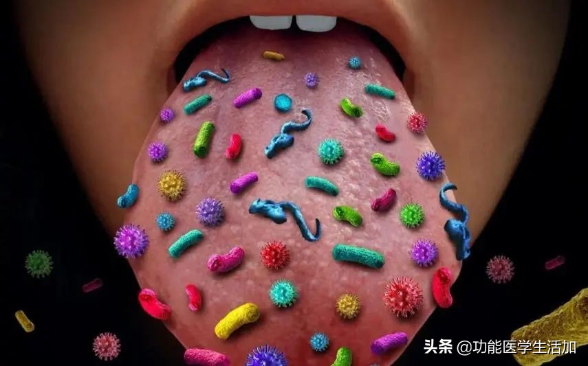 如何改善口腔菌群,口腔正常菌群生长报告