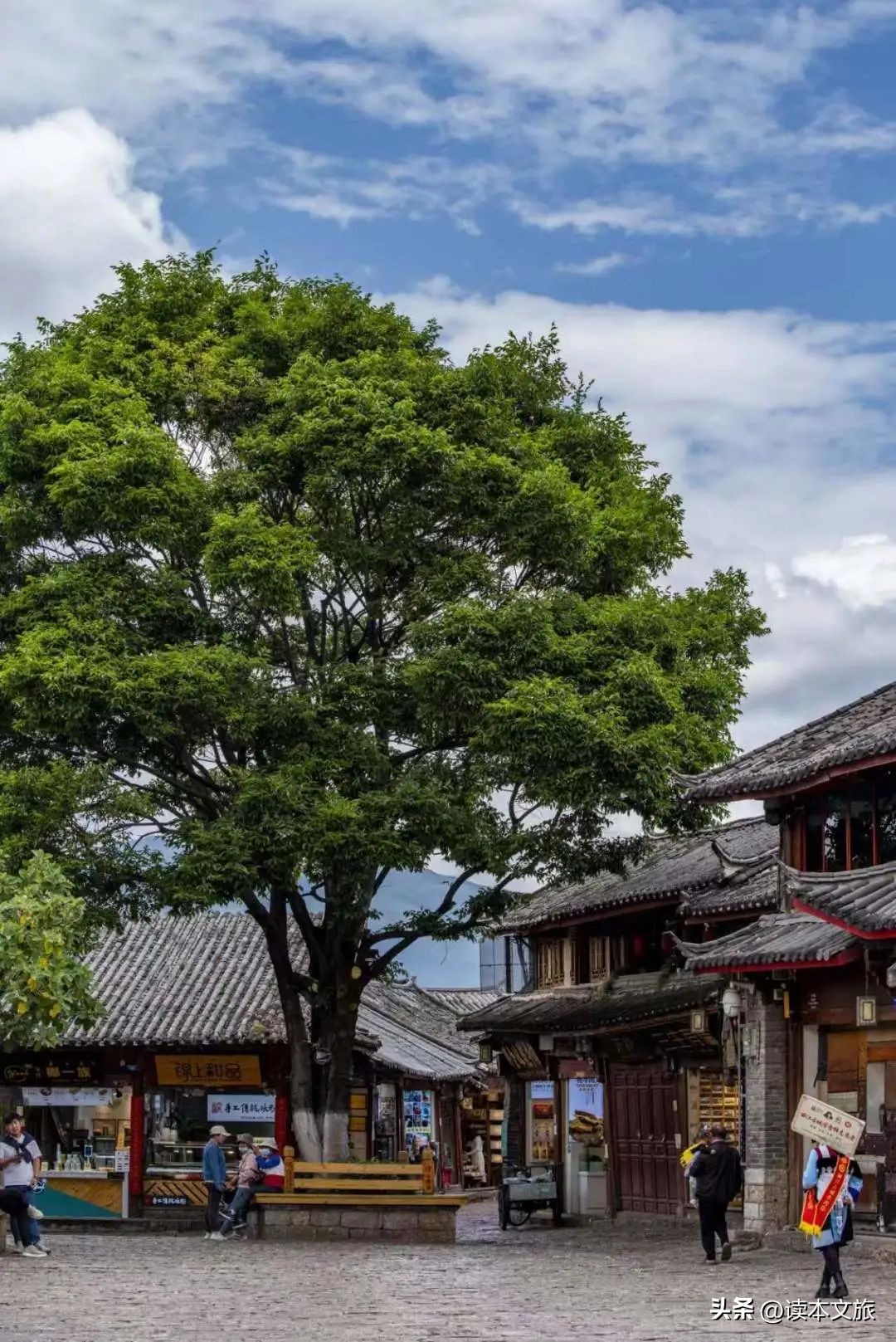 我被丽江治愈了,你呢?