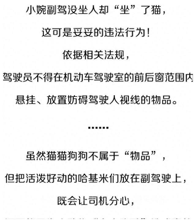 副驾驶没坐人扣三分罚200,新交规副驾驶不系安全带扣分