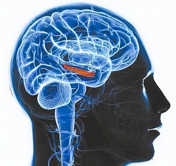 脑科学博士让孩子成为学霸很简单,脑科学博士教睡眠