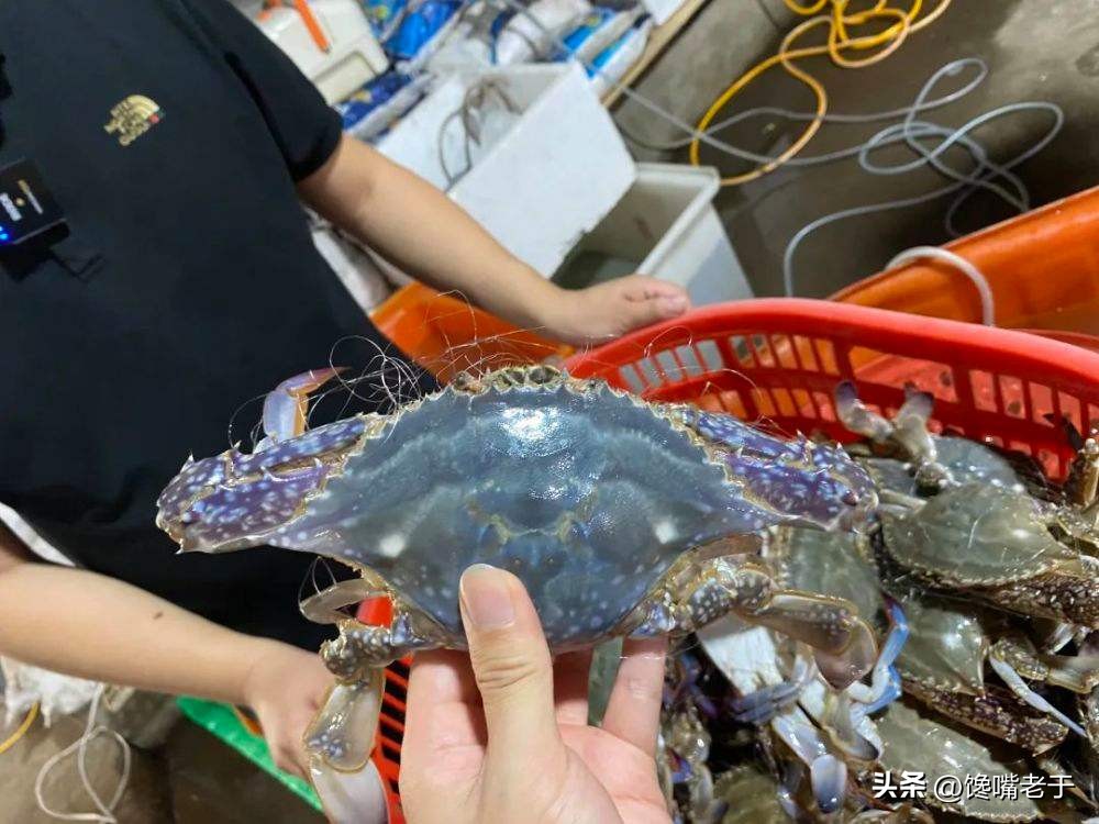挑选螃蟹的秘籍大家学起来,买螃蟹的时候怎么挑肉和蟹黄多的