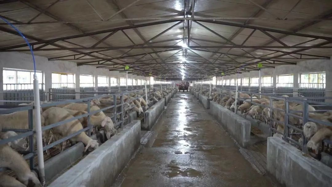 成县红川镇项目建设,多招商引资带动镇经济快速发展