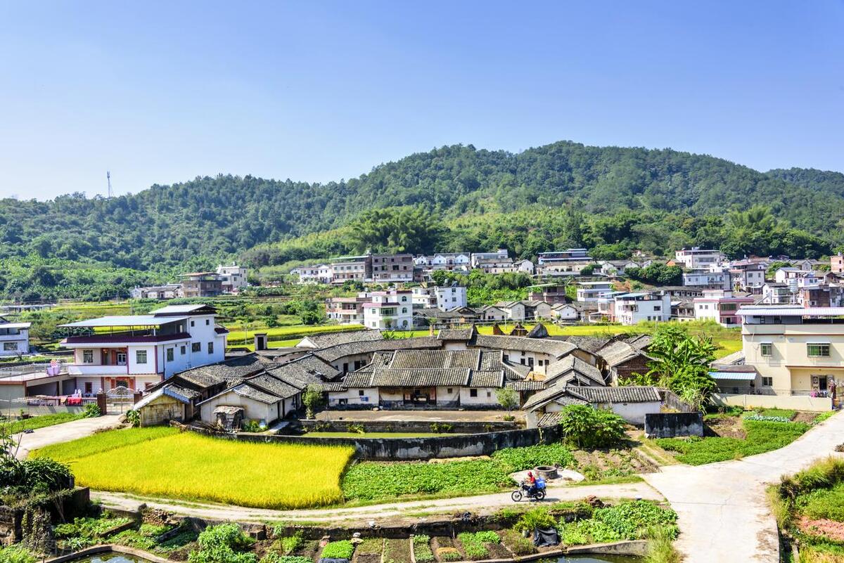 农村将迎大变化,农民在农村未来5年如何发展