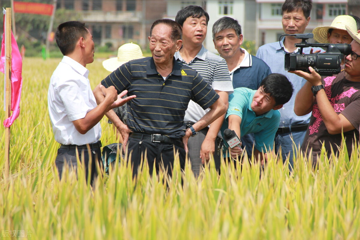 袁隆平年轻时的故事,袁隆平年轻时代