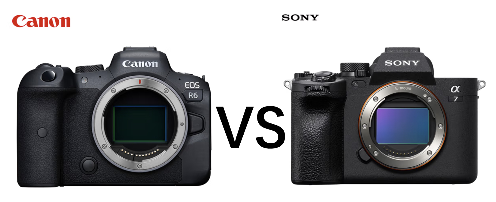 佳能r6与索尼a7m4高感哪个更好,eosr6对比a7m4
