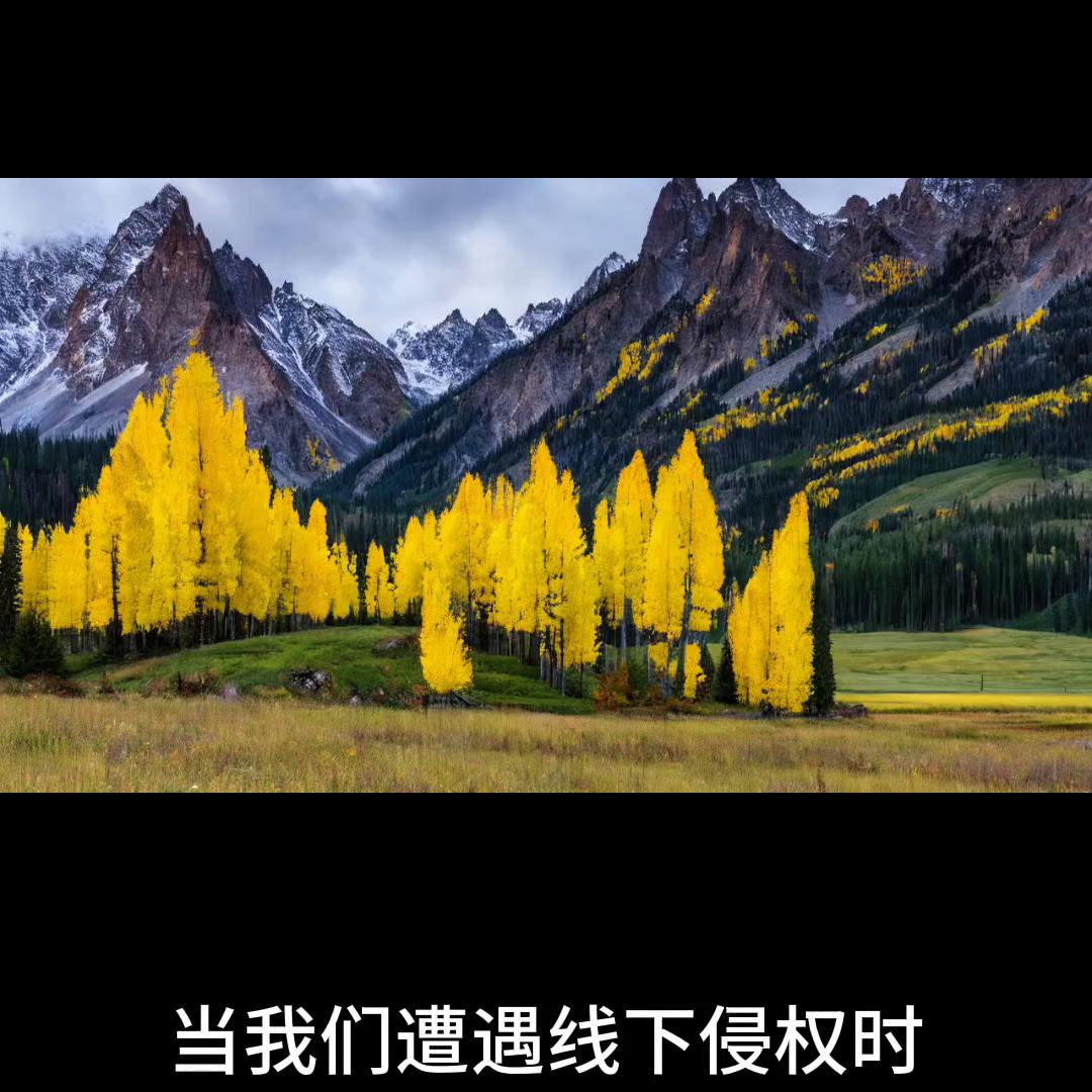 淘宝控价公司怎么收费,淘宝控价管理流程