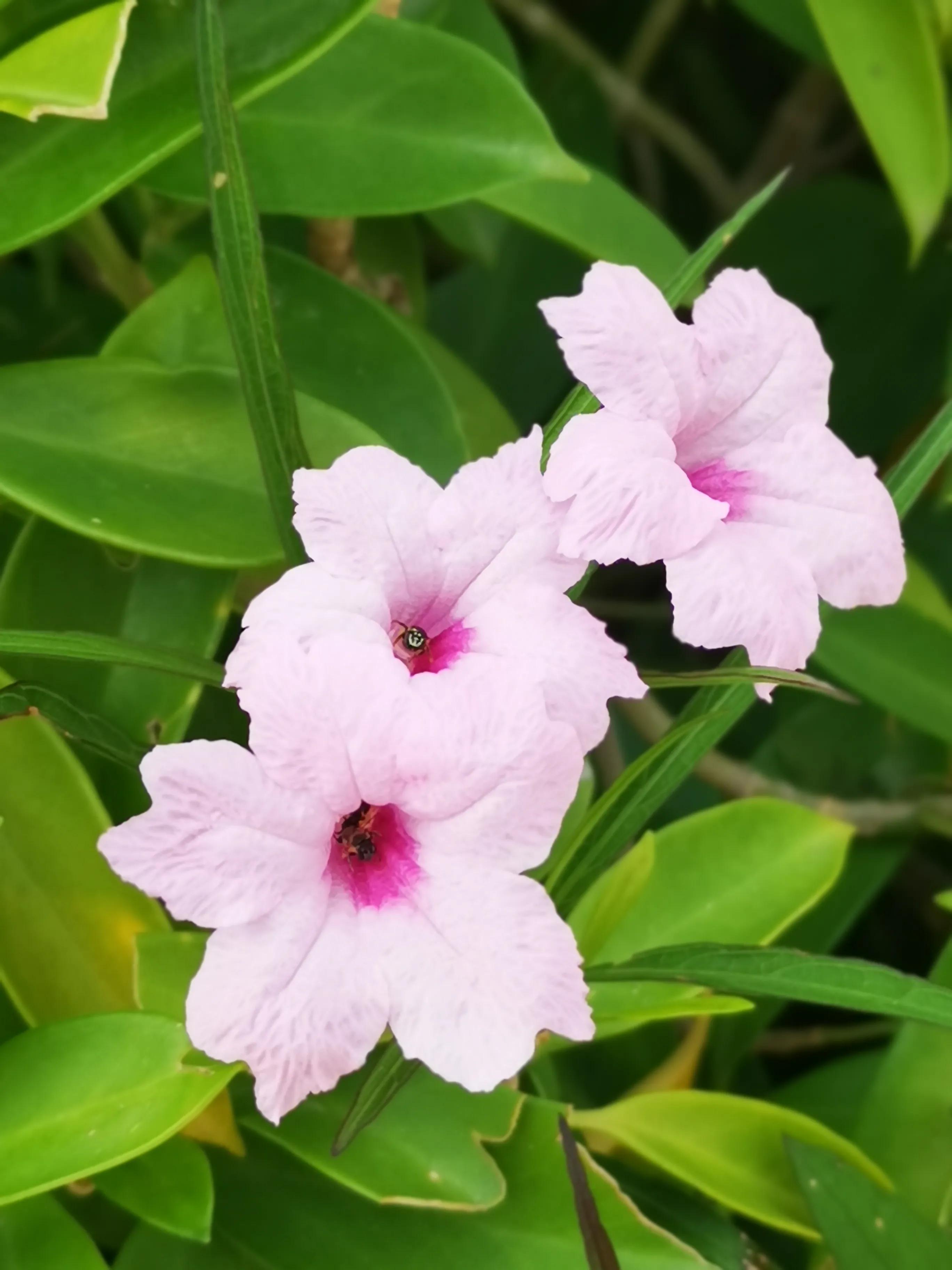 童年去河边钓鱼,童年垂钓的视频