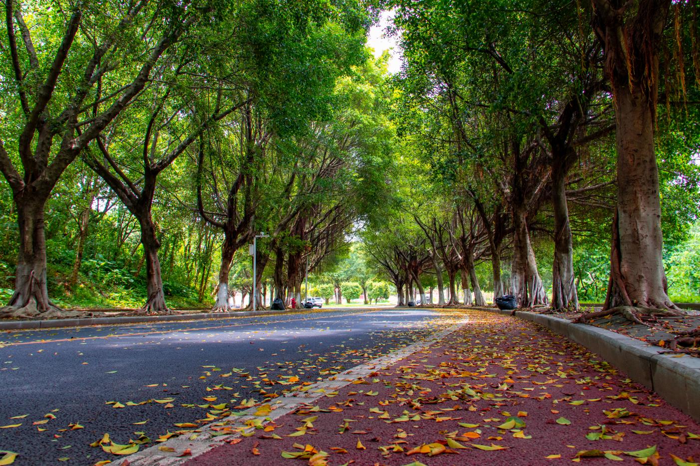 大学综测加分不合理怎么办,大学综测的分算错了怎么办
