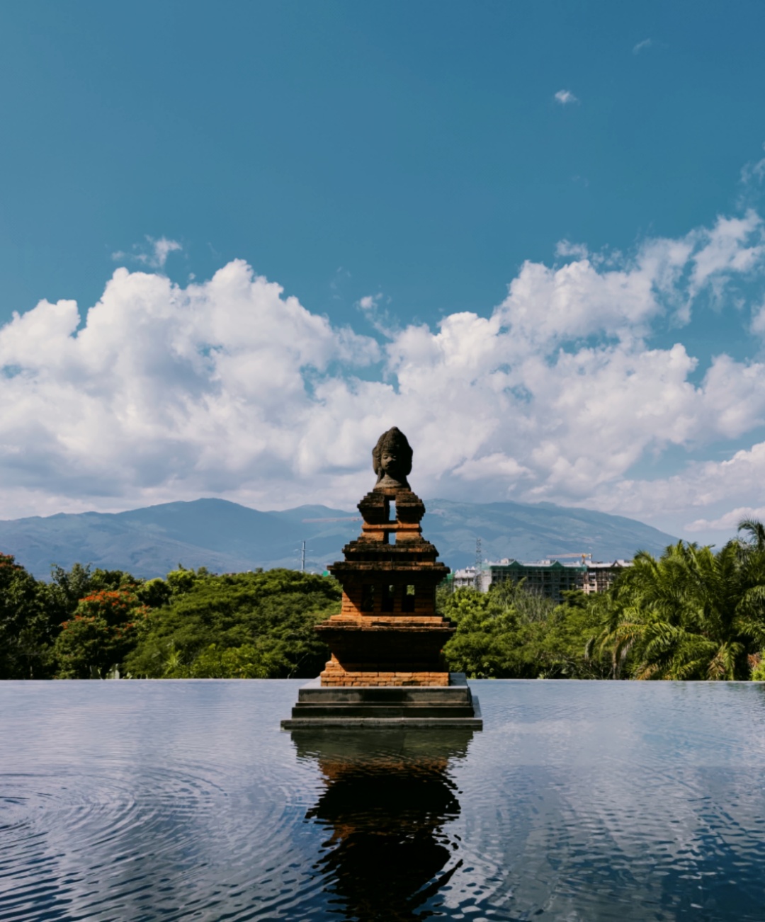 不走寻常路不走回头路,不走寻常路酒驾