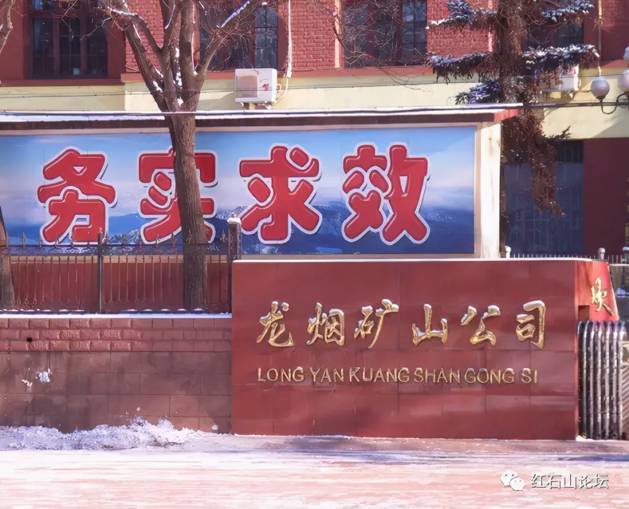 美丽的龙作曲,龙烟的图片