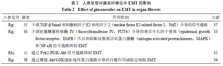 人参皂苷健脾胃,人参皂苷rh2对肺纤维化的作用