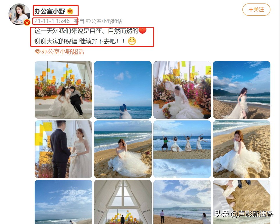 办公室小野视频中国美食,美食达人排行榜办公室小野