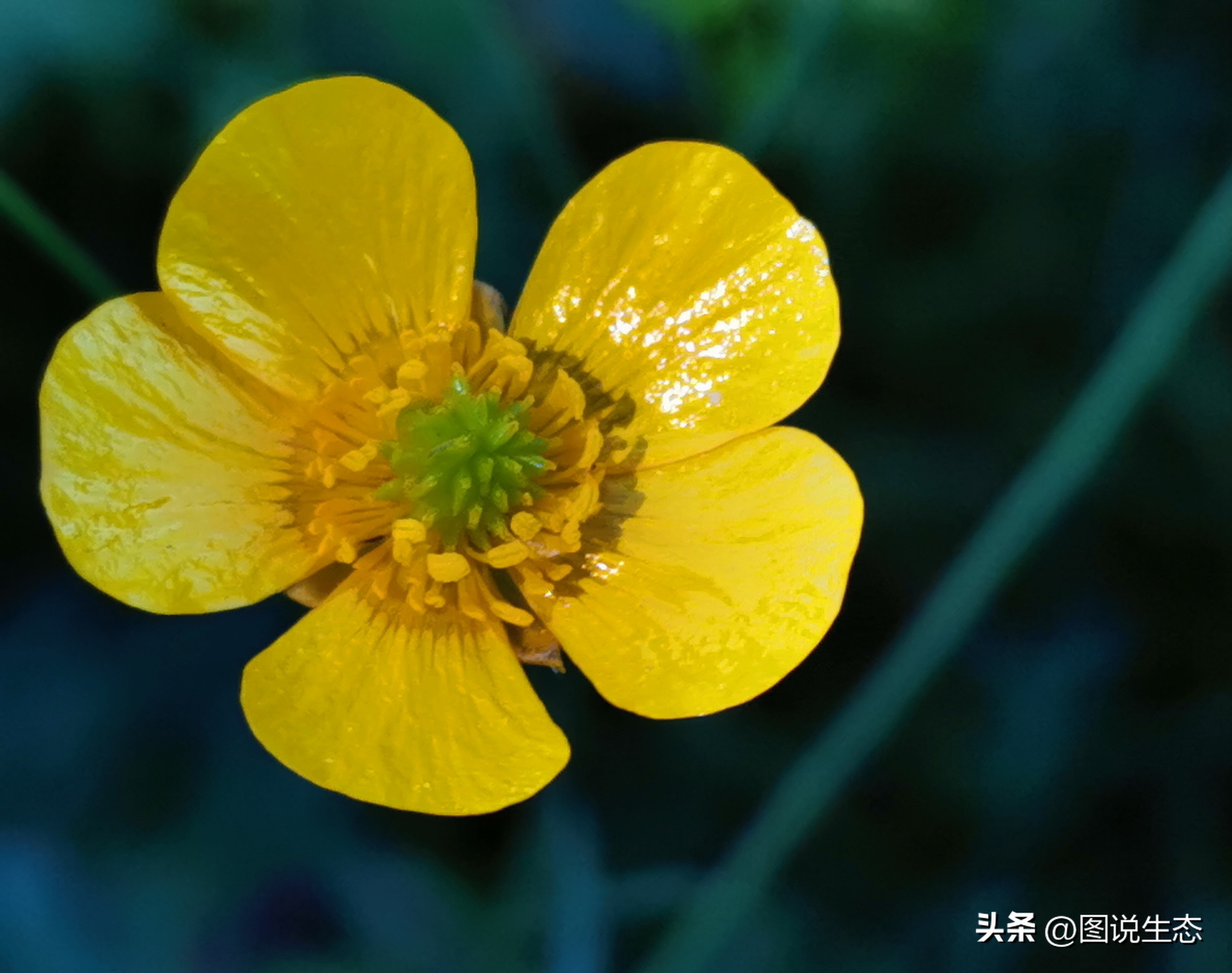 坝上草原游玩的好去处,锡林郭勒大草原和丰宁坝上